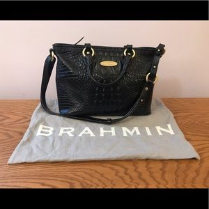 Brahmin Purse